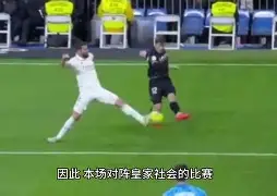 皇家社会新董事会接受专访，揭秘内部管理机制